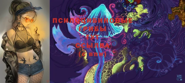 ешки Алексеевка