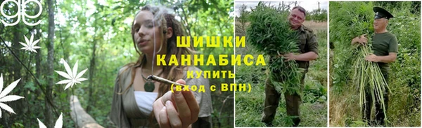каннабис Новозыбков