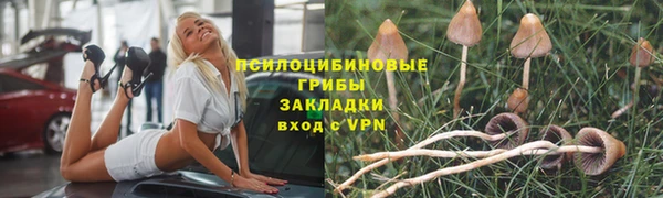 шишки Алексин