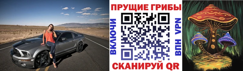 Галлюциногенные грибы ЛСД  OMG как зайти  Коркино 